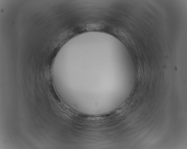 X0000071860367200606301108