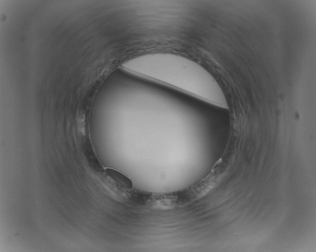 X0000071860368200606301108