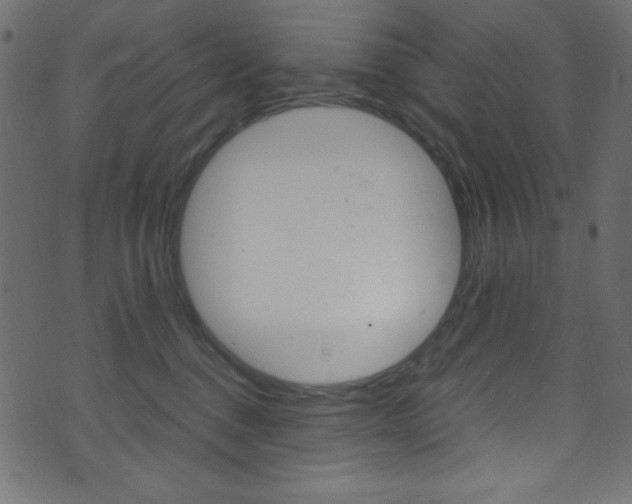 X0000071860376200606301108