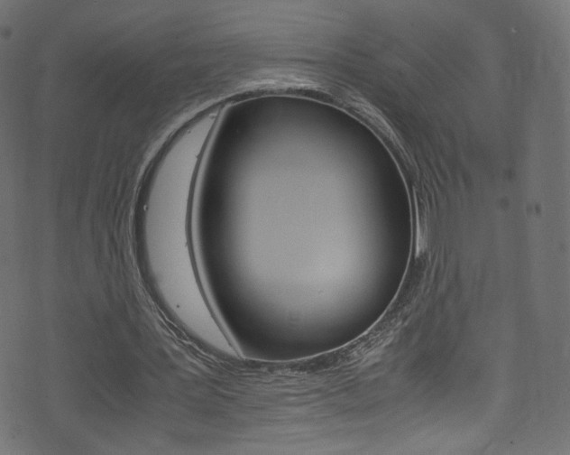 X0000071860387200606301107