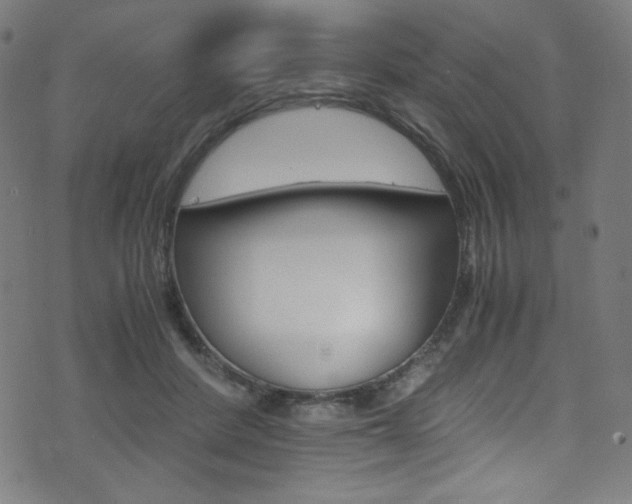 X0000071860408200606301107