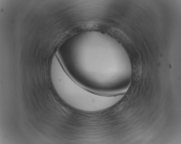 X0000071860416200606301107