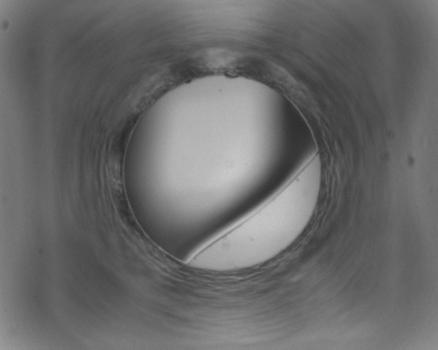 X0000071860421200606301107