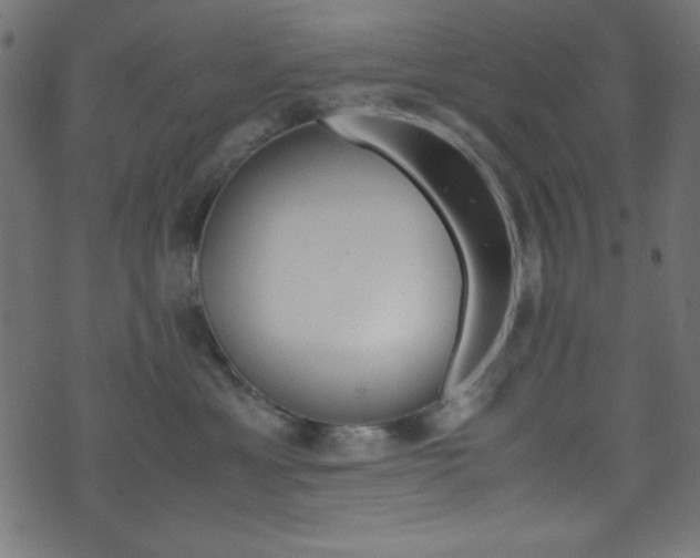 X0000071860429200606301106