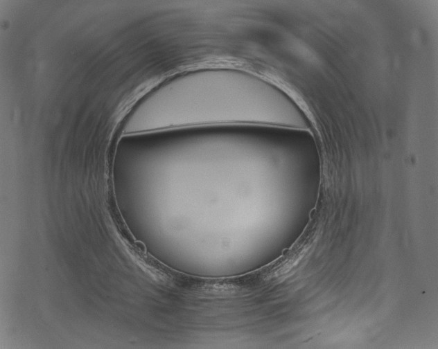 X0000071860437200606301106