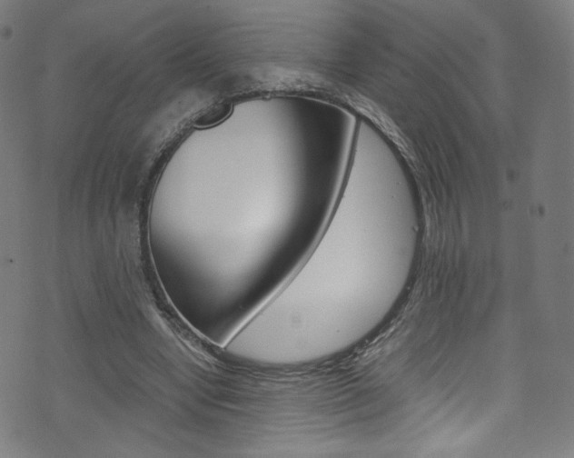 X0000071860442200606301106