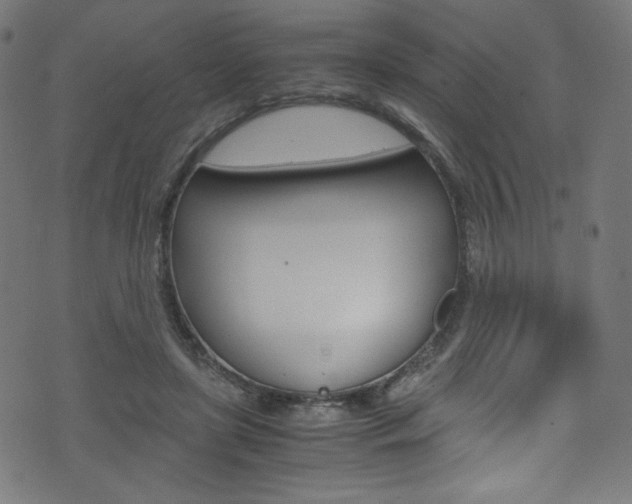 X0000071860451200606301106