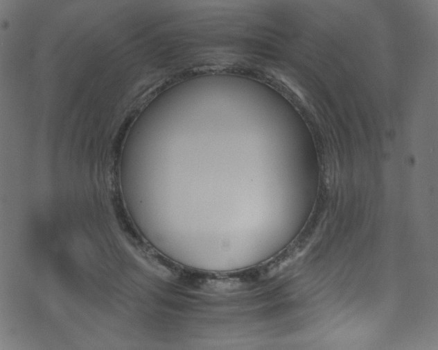 X0000071860455200606301106