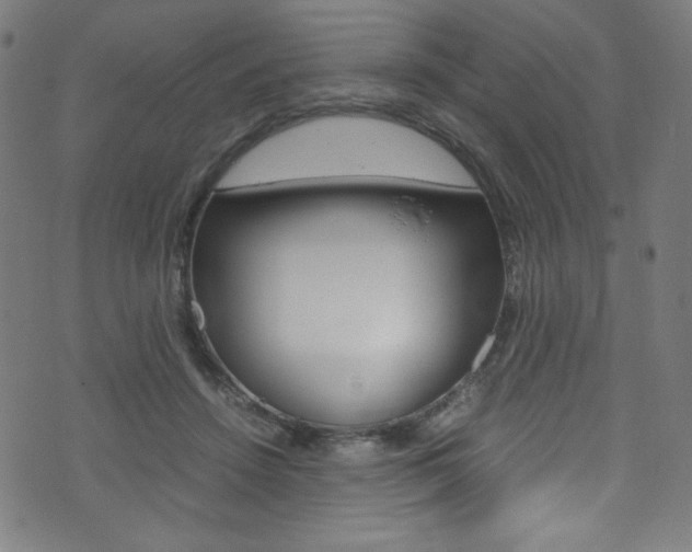 X0000071860456200606301106