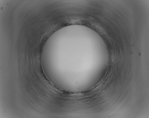 X0000071860461200606301106
