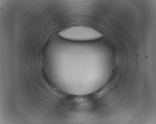 X0000071860464200606301106