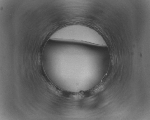 X0000071860466200606301106
