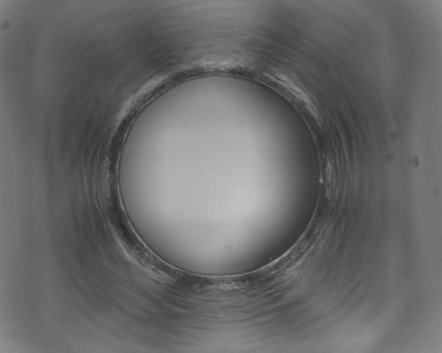 X0000071860492200606301105