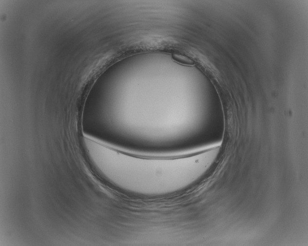 X0000071860493200606301105