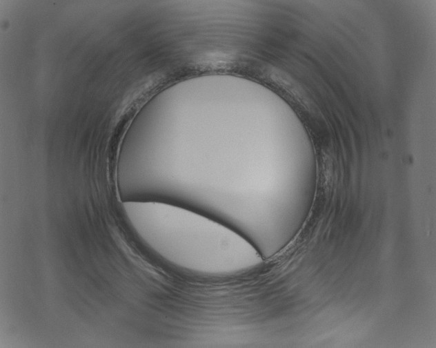 X0000071860494200606301105
