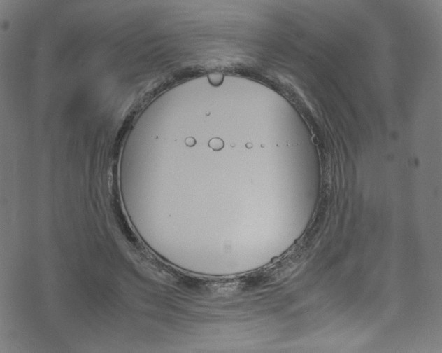 X0000071860495200606301105
