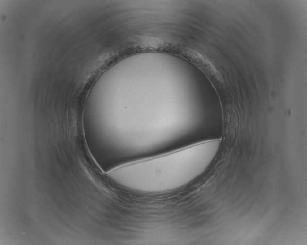 X0000071860496200606301105