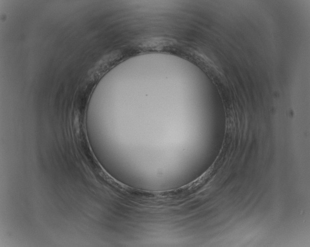 X0000071860504200606301105