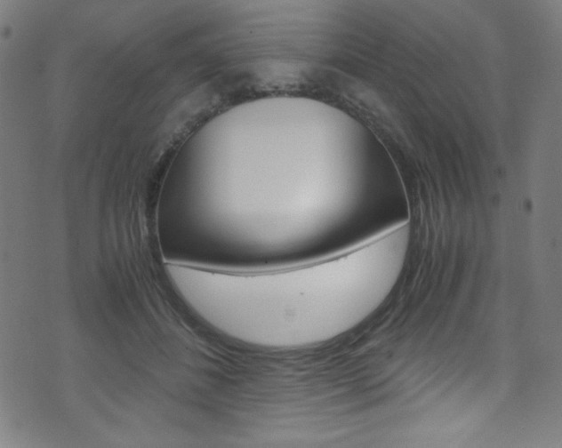 X0000071860508200606301105
