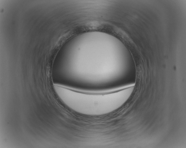 X0000071860509200606301105
