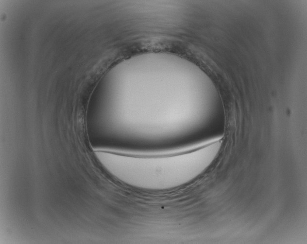 X0000071860513200606301105