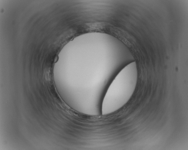 X0000071860514200606301105