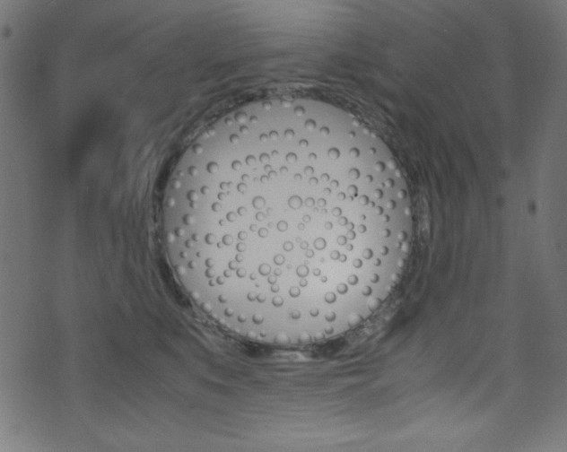 X0000071860519200606301105