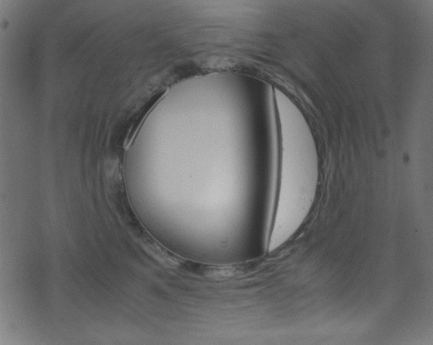 X0000071860521200606301105