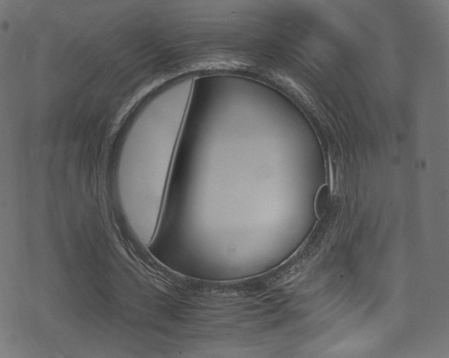 X0000071860531200606301104
