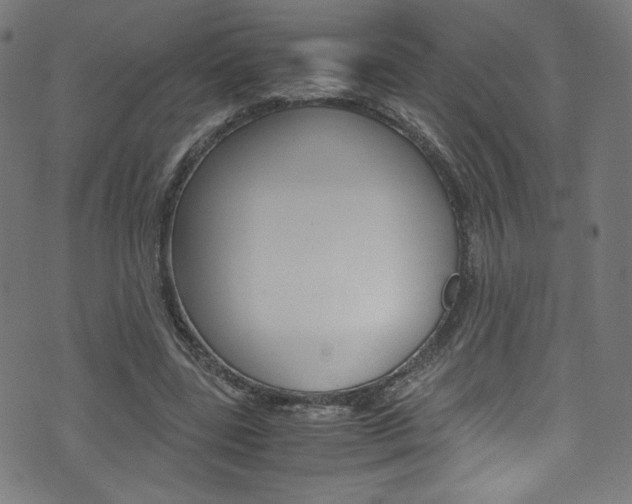 X0000071860539200606301104