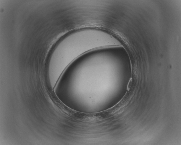 X0000071860540200606301104