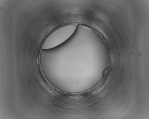X0000071860541200606301104