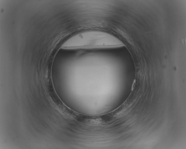 X0000071860548200606301104