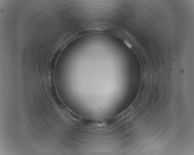 X0000071860552200606301104