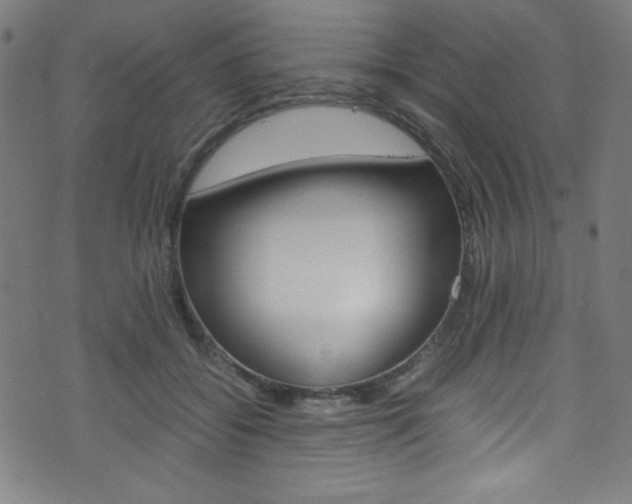 X0000071860556200606301104