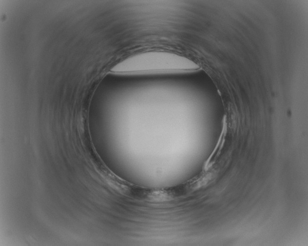 X0000071860562200606301105