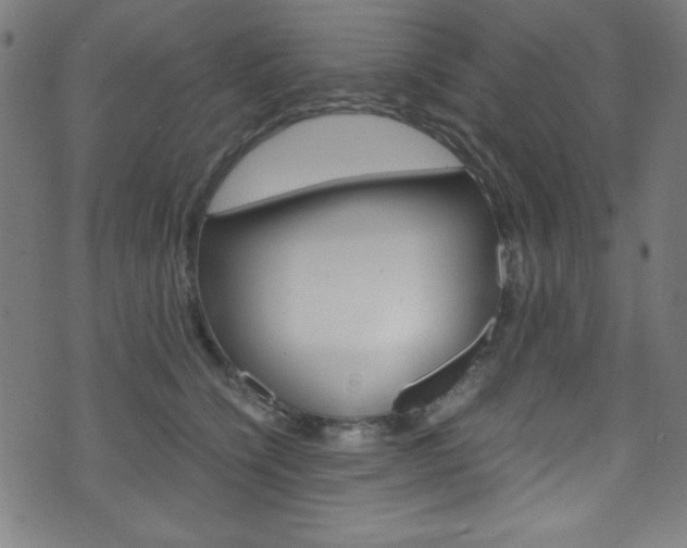 X0000071860564200606301105