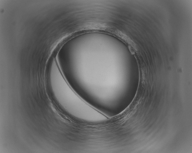 X0000071860580200606301104