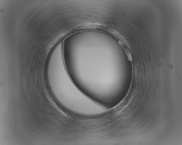 X0000071860581200606301104