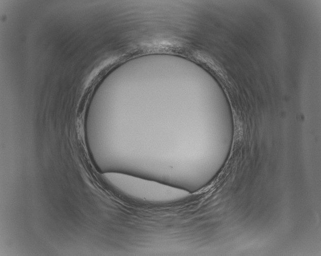 X0000071860583200606301104