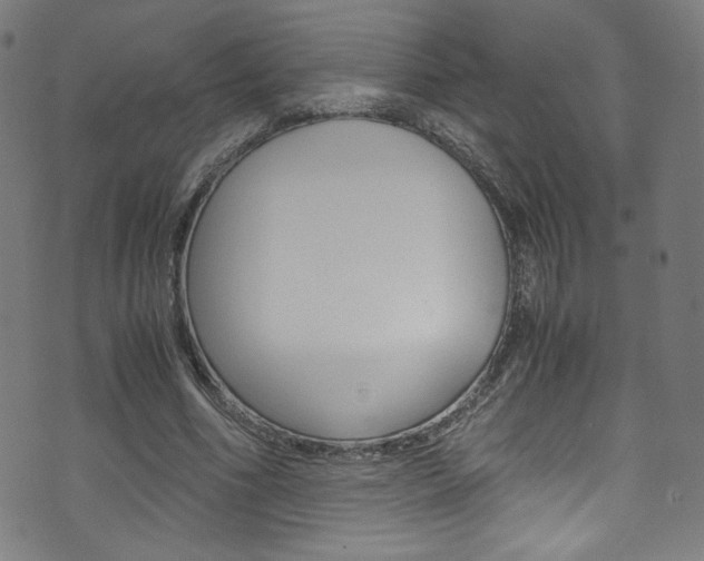 X0000071860586200606301104