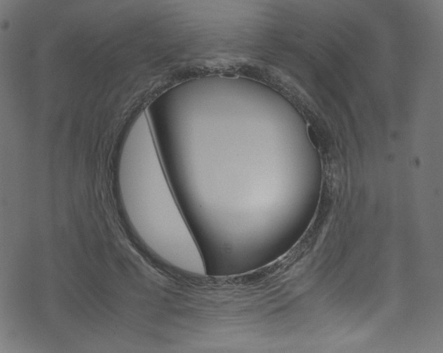 X0000071860593200606301104
