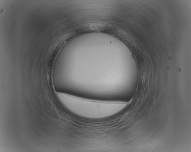 X0000071860595200606301104