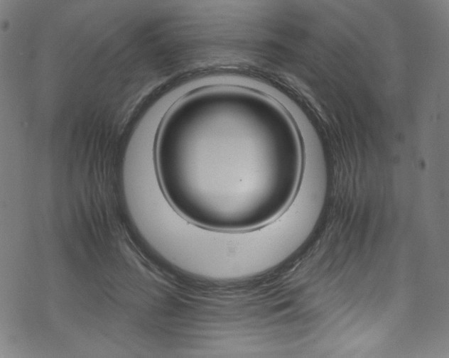 X0000071860596200606301104