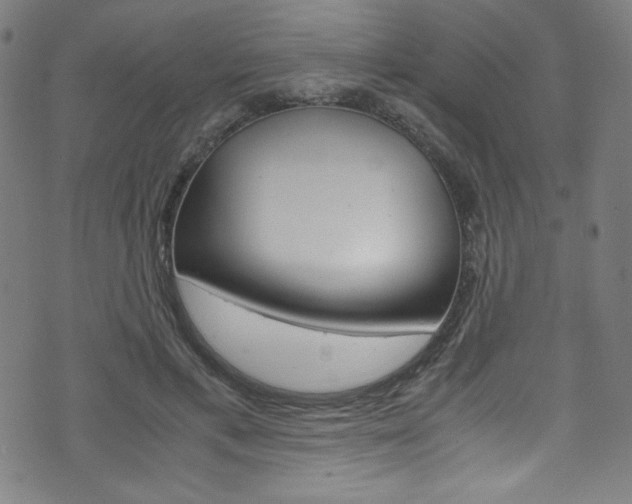 X0000071860597200606301104