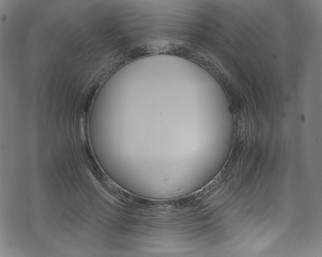 X0000071860598200606301104