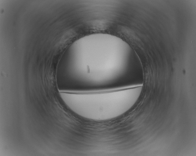 X0000071860608200606301104
