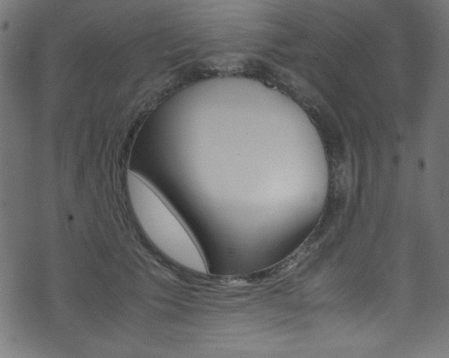 X0000071860609200606301104