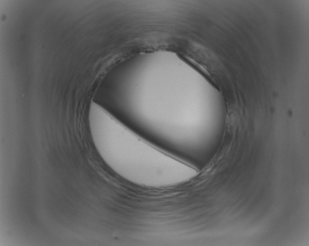 X0000071860623200606301103
