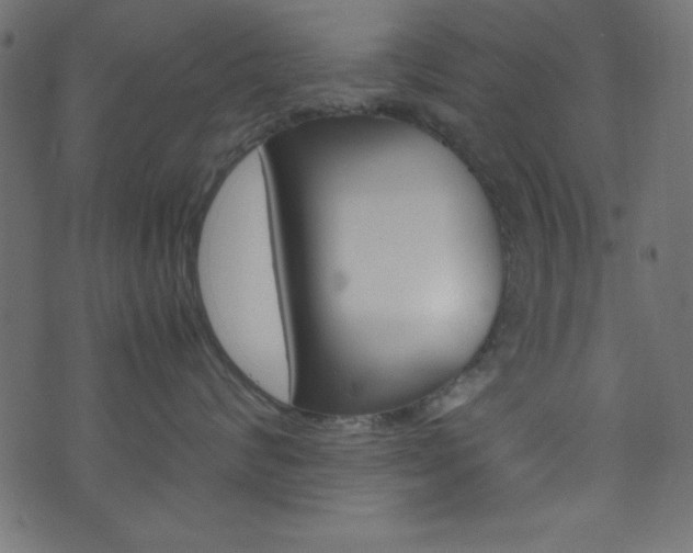X0000071860624200606301103